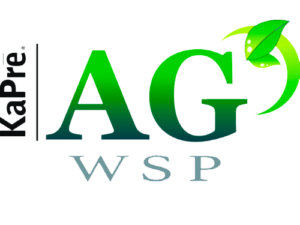 KaPre AG WSP
