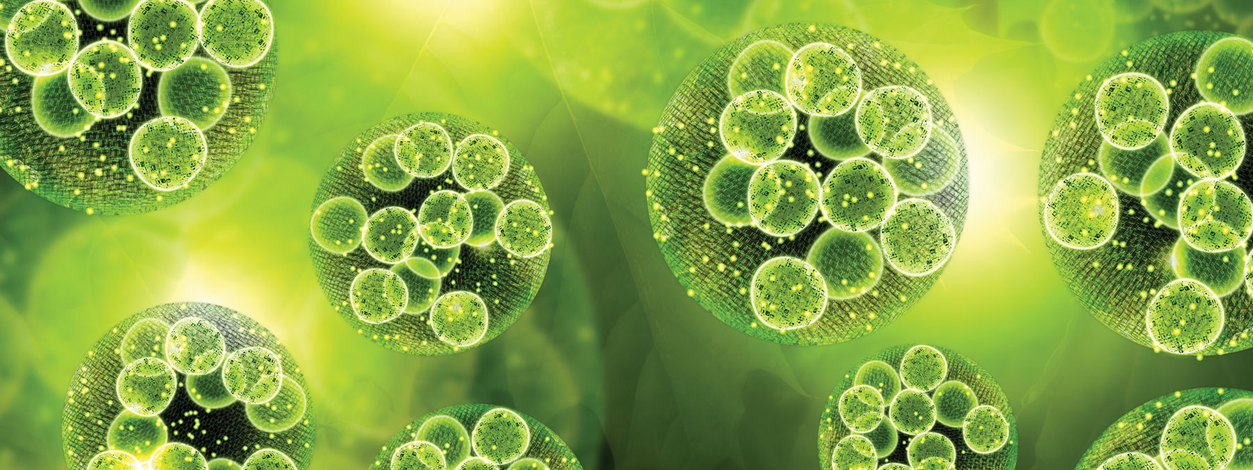 Biologicals