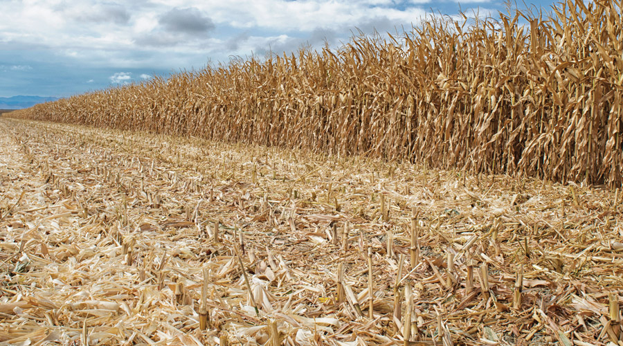 Residue Breakdown Products