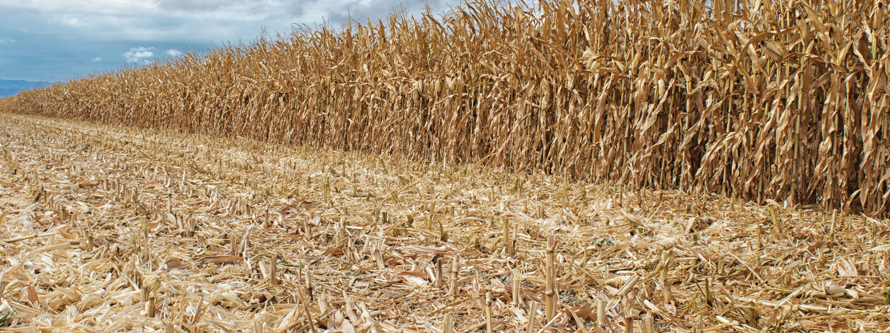 Residue Breakdown Program