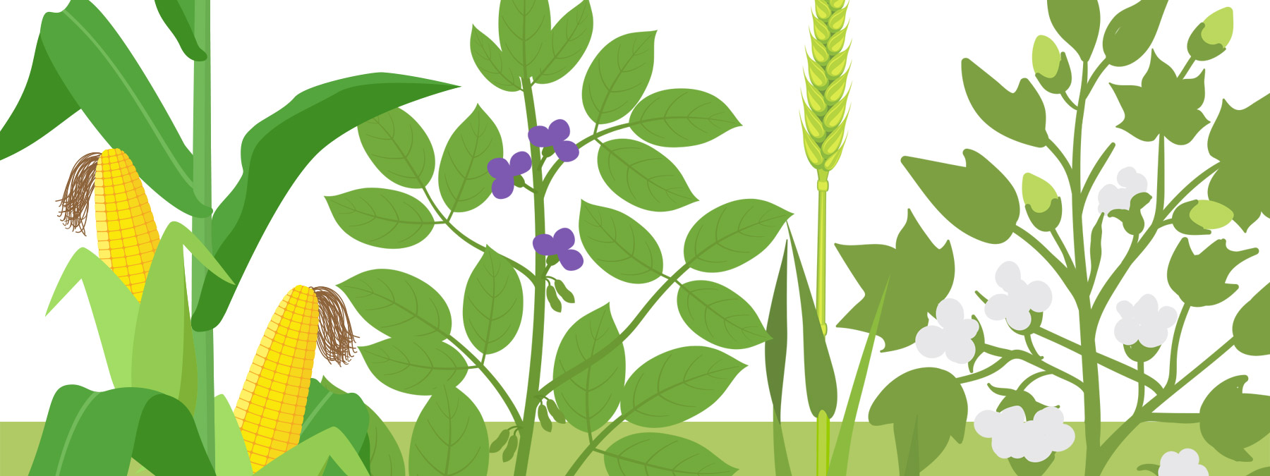 Foliar Products Guides