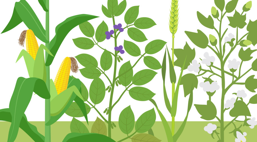 Foliar Products Guides