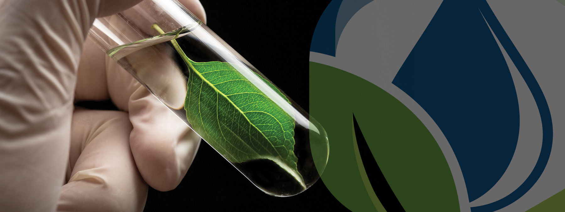 Micronutrients - Innova Performance Products