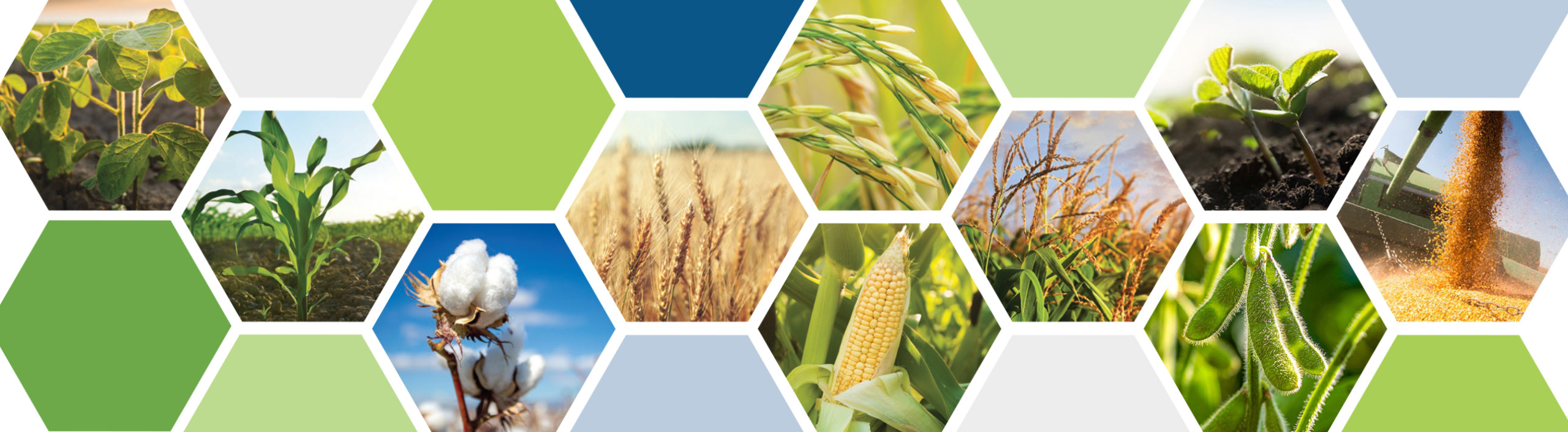 Innova Performance Products